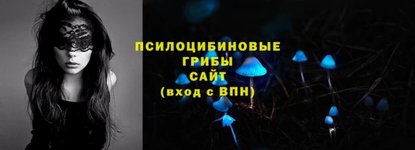 дмт Алексеевка