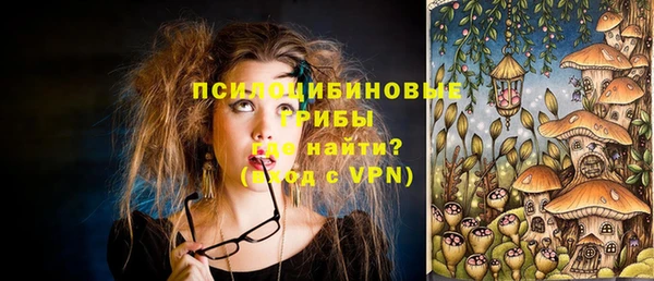 стафф Алексин