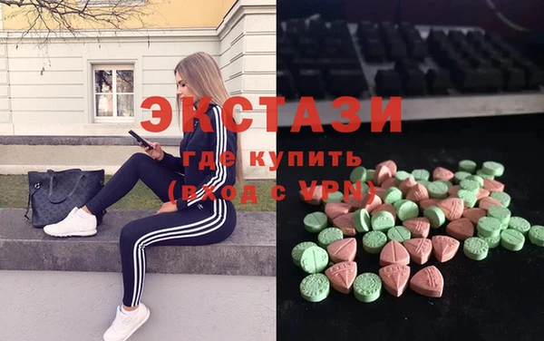 стафф Алексин