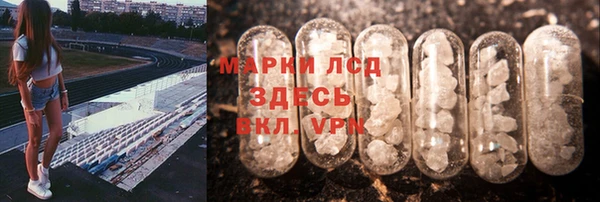 винт Алзамай