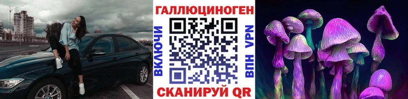 Псилоцибиновые грибы мухоморы  как найти   Амурск 