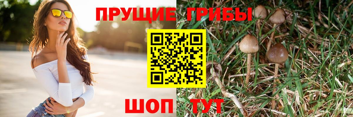 Амурск  купить   Вход с VPN  Галлюциногенные грибы Psilocybine cubensis  Галлюциногенные грибы Magic Shrooms 