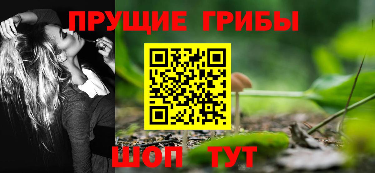 Галлюциногенные грибы мицелий Амурск